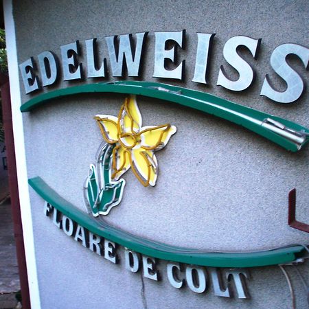 Pension Edelweiss Экстерьер фото
