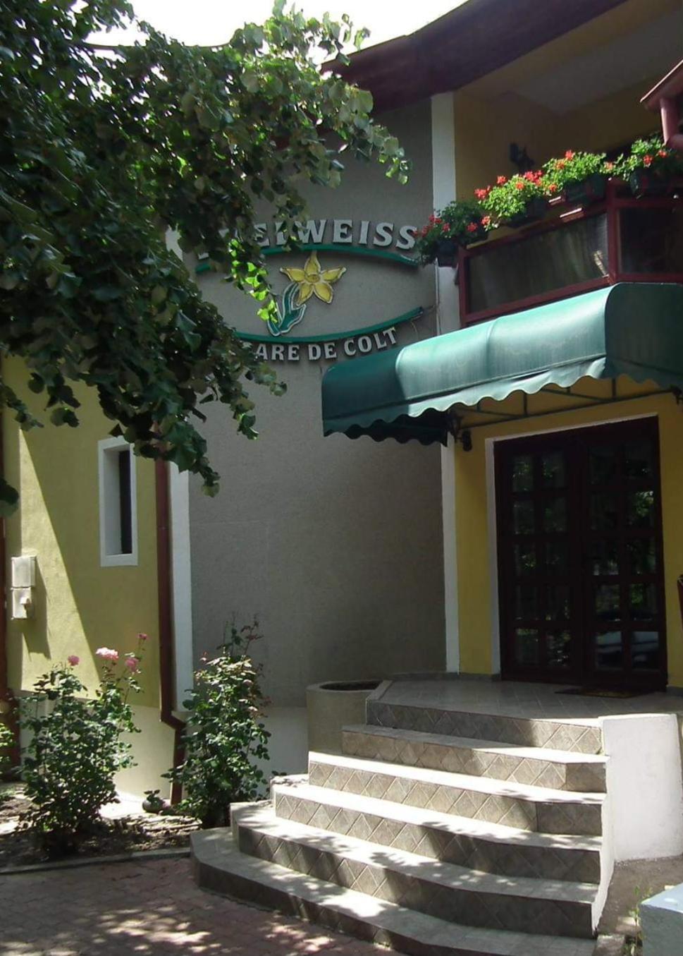 Pension Edelweiss Экстерьер фото